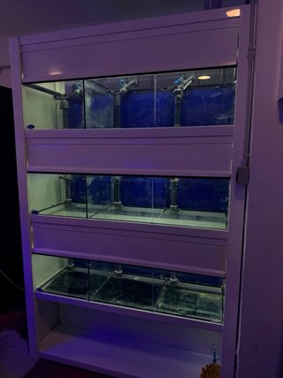 Batería de acuarios 3 niveles