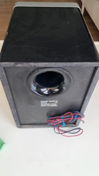 2 Altavoces Philips 100w