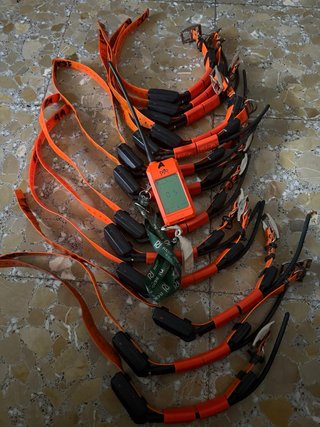 2 Dogtrace X30 + 26 Collares GPS