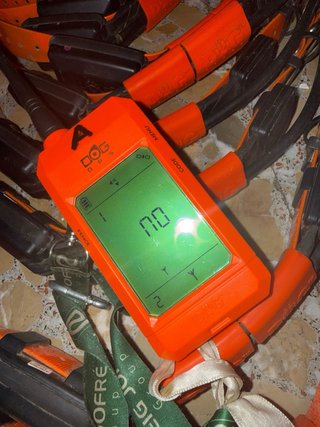 2 Dogtrace X30 + 26 Collares GPS