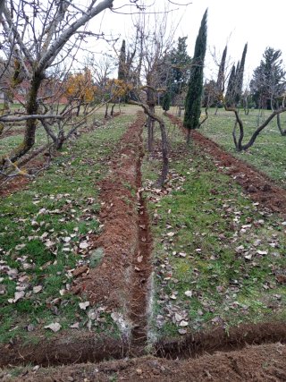 Jardinería y mantenimiento en Valladolid.