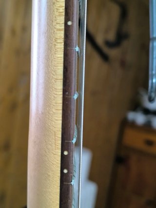 Guitarra Eléctrica Stratocaster Negra