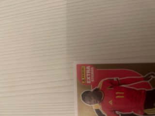 Extra Stickers Mundial.Venta o intercambio.
