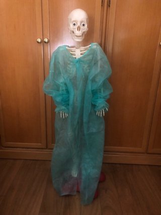 Esqueleto anatomico articulado