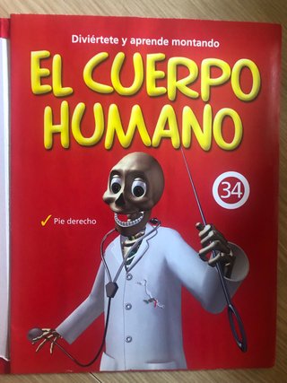 Esqueleto anatomico articulado