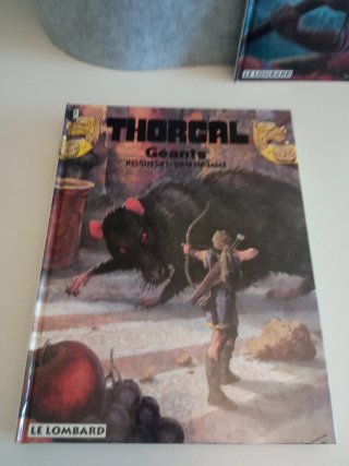 Lote de 4 tomes Thorgal  N° 20-21-22-23