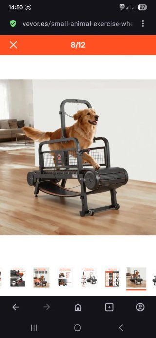 Cinta de correr para perros