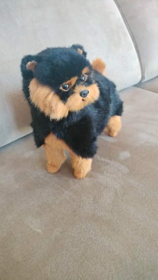 Peluche perro negro y marrón