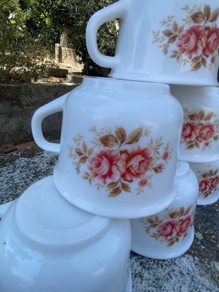 Set di stoviglie Arcopal vintage con decorazione floreale