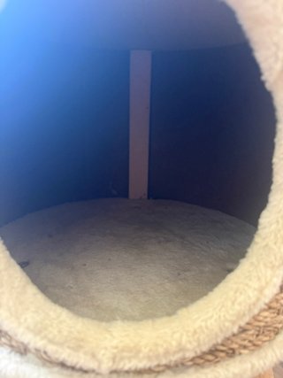 Cama rascador para gato