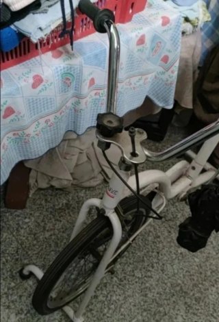 Bicicleta estática GAC LESUREWISE 1000
