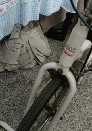Bicicleta estática GAC LESUREWISE 1000