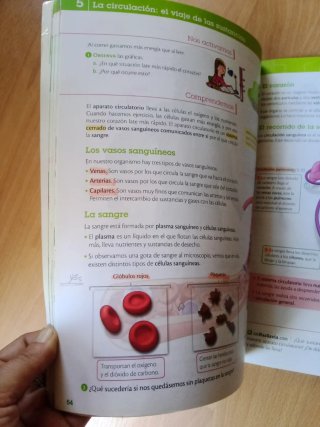 Ciencias de la naturaleza : 5o Primaria : Aragó...