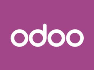 Servicio Odoo - Paginas web