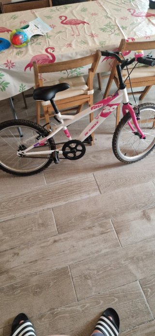 Bicicleta niña 20 DENBIKE