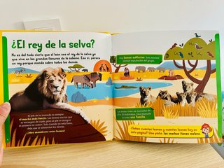 El león en la sabana africana. National Geographic