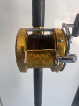 Carrete Penn International 30 - Pesca