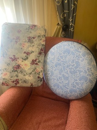 Lote de 2 cojines decorativos