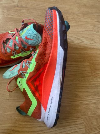 Zapatillas Nike Pegasus Trail Running