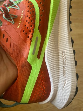 Zapatillas Nike Pegasus Trail Running