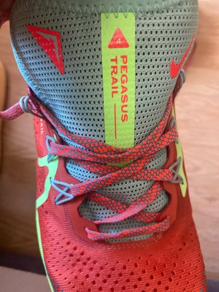 Zapatillas Nike Pegasus Trail Running