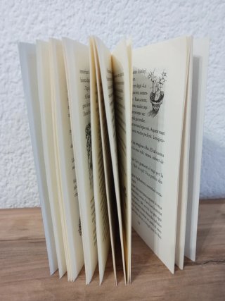 L'hivernacle del terror - Jenny Nimmo