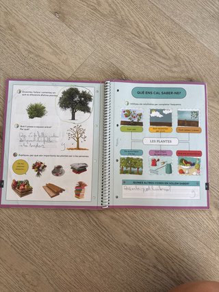 Ens agrada la jardineria, Nivell I Primària - l...