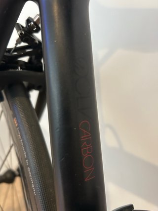 Bicicleta TREK Carbon
