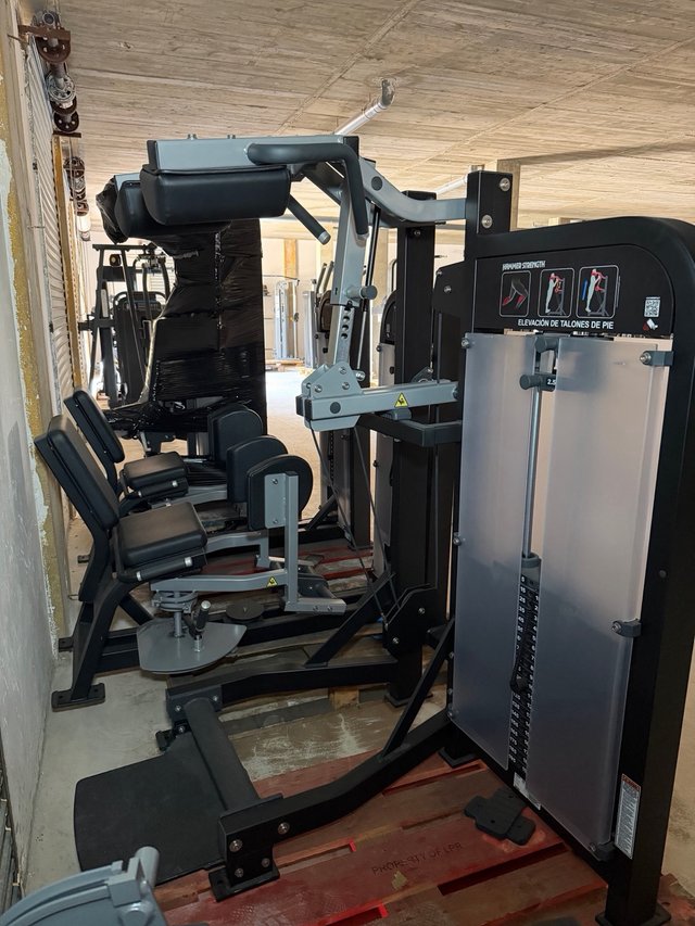 Gemelo de pie hammer strength placas