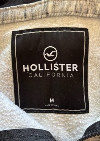 Sudadera Hollister