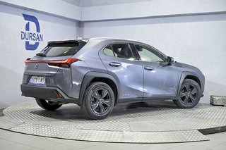 Lexus UX   2.0 250h Business