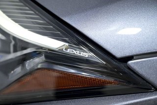 Lexus UX   2.0 250h Business