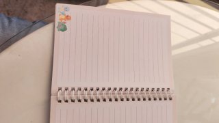 Libreta Pokémon Pokopia