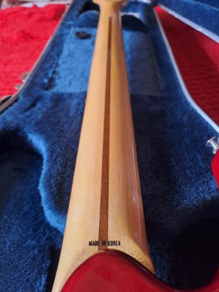 Bajo Ibanez 5 cuerdas