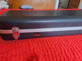 Bajo Ibanez 5 cuerdas