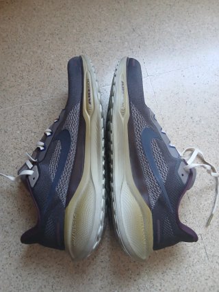 Nike Pegasus 41 Premium
