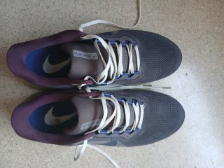 Nike Pegasus 41 Premium