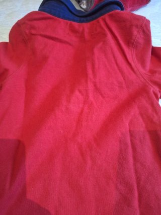 Polo niño manga larga rojo de polo ralph lauren