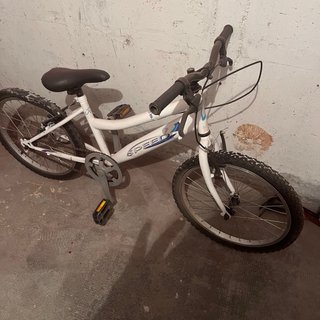 Bicicleta infantil 20 pulgadas