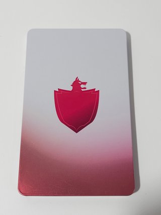 Steelbook Pokemon Scudo
