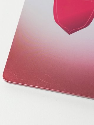 Steelbook Pokemon Scudo