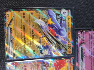 Lotto carte Pokémon EX Rivali Predestinati
