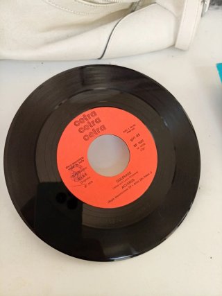 Disco 45 giri Goldrake Actarus