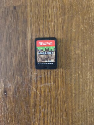 Minecraft Nintendo Switch