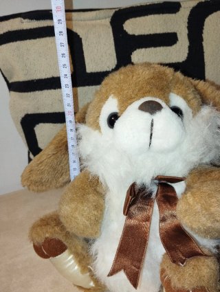 Peluche