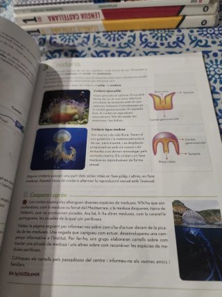 Biologia i Geologia 1r ESO