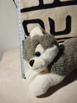 Peluche Husky Azul