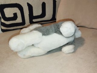 Peluche Husky Azul