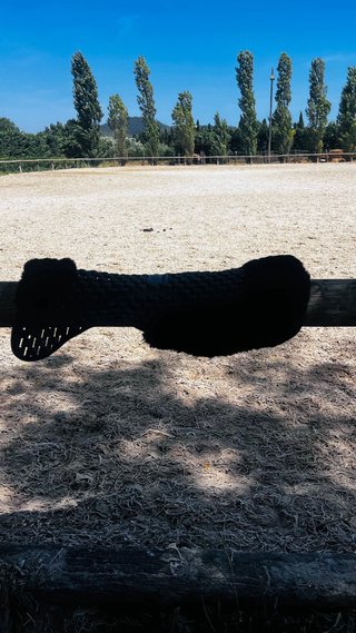 Salvacruz Gatusos Negro Borreguito Plástico