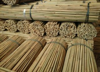 Tutores Bambú 150 cm - 20 Unidades